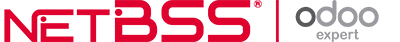 netBSS Soluciones Informáticas SL